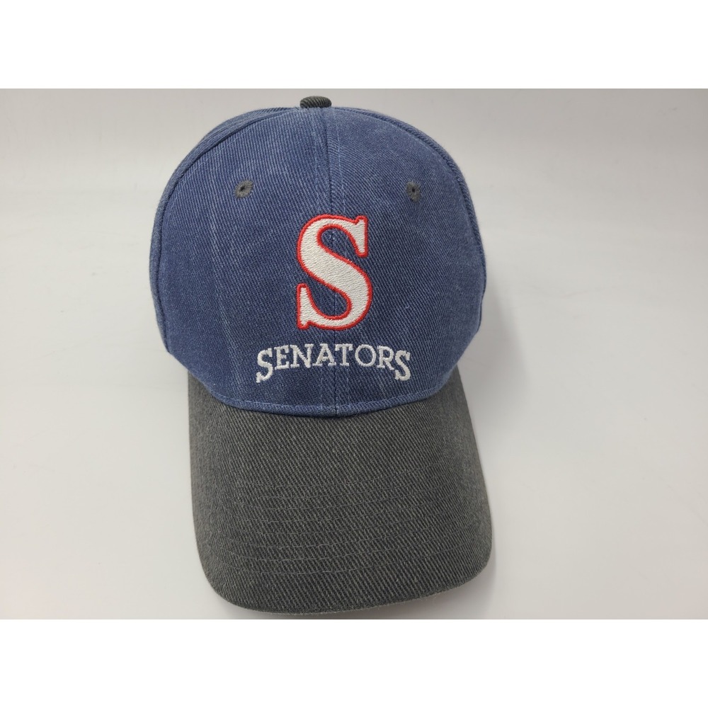 Vintage Harrisburg Senators ABC 27 Snapback Hat Cap Men Women MiLB Baseball Blue